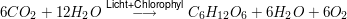 $ 6CO_2+12H_2O \stackrel{\text{Licht+Chlorophyl}}{\longrightarrow} C_6H_{12}O_6 + 6H_2O + 6O_2 $ $ 6CO_2+12H_2O \stackrel{\text{Licht+Chlorophyl}}{\longrightarrow} C_6H_{12}O_6 + 6H_2O + 6O_2 $
